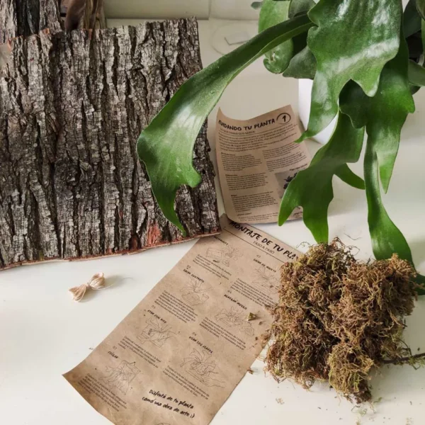 Kit de montaje de Platycerium