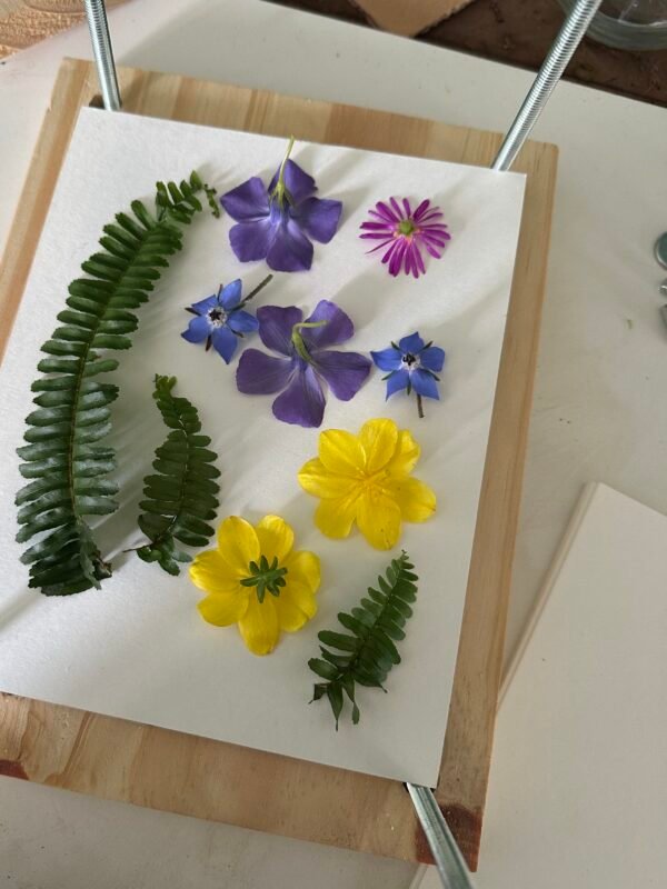 Taller de Prensado Botánico en Barcelona | Tres modalidades para aprender y crear - Imagen 2