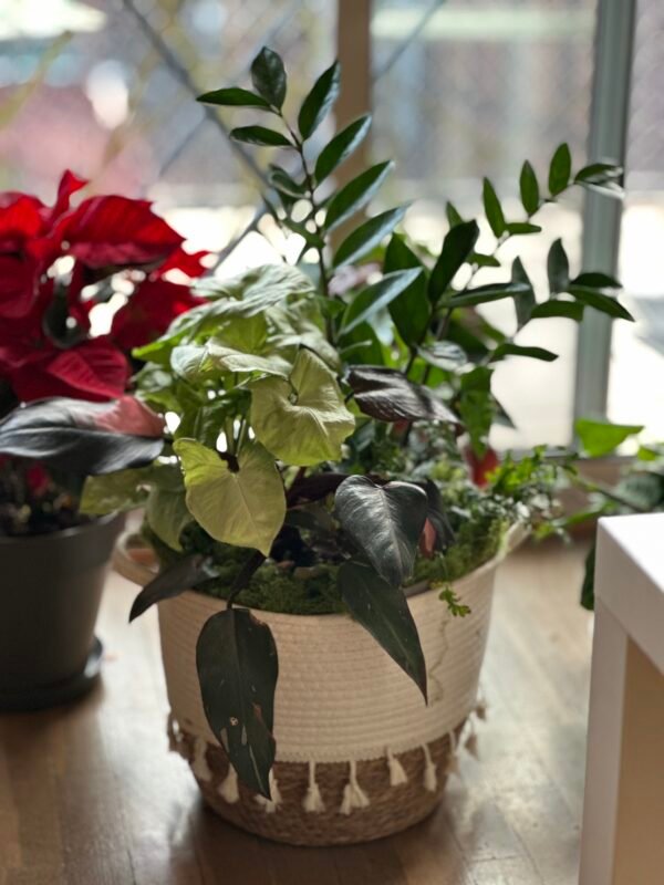 Taller de Potscaping