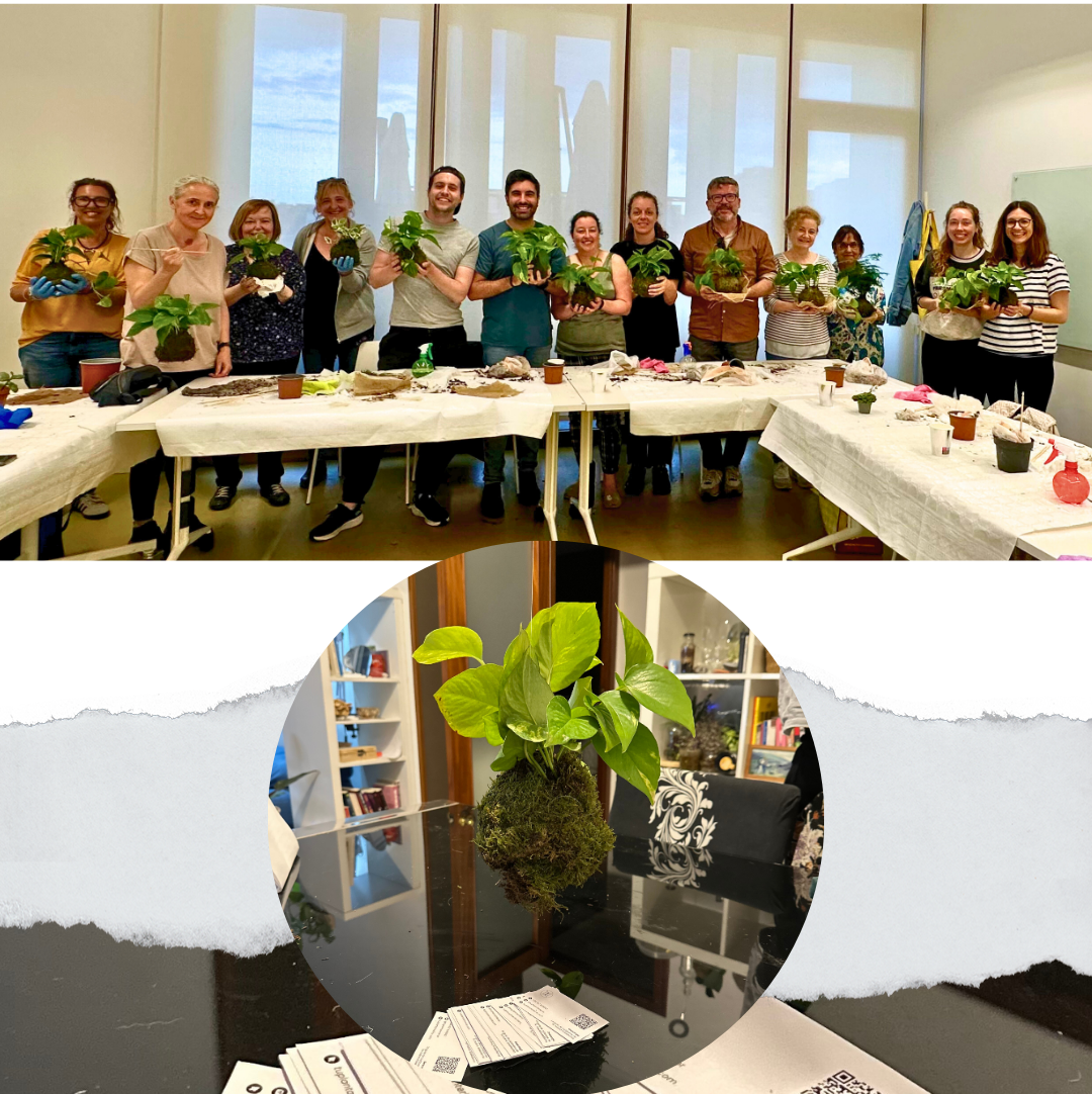 Taller de Kokedamas