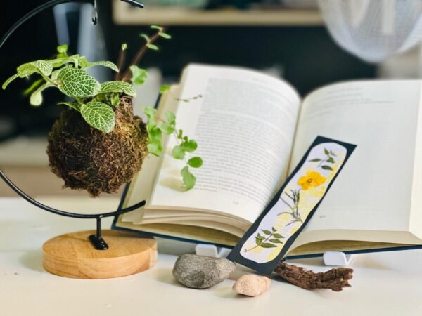 Taller de Prensado Botánico en Barcelona | Tres modalidades para aprender y crear - Imagen 3