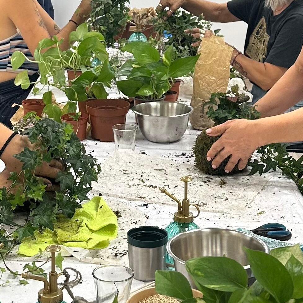 Talleres y Ciclos de botanica cretiva en Barcelona