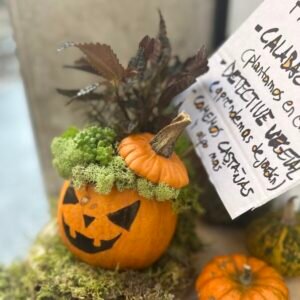 Taller en familia - Calabaza viva