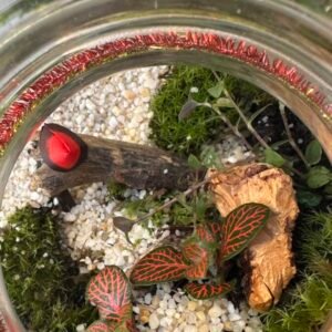 Taller de Terrarios de Navidad en Barcelona