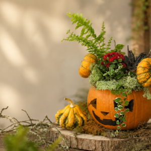 Arreglo botánico de otoño con calabaza, plantas y flores para Halloween